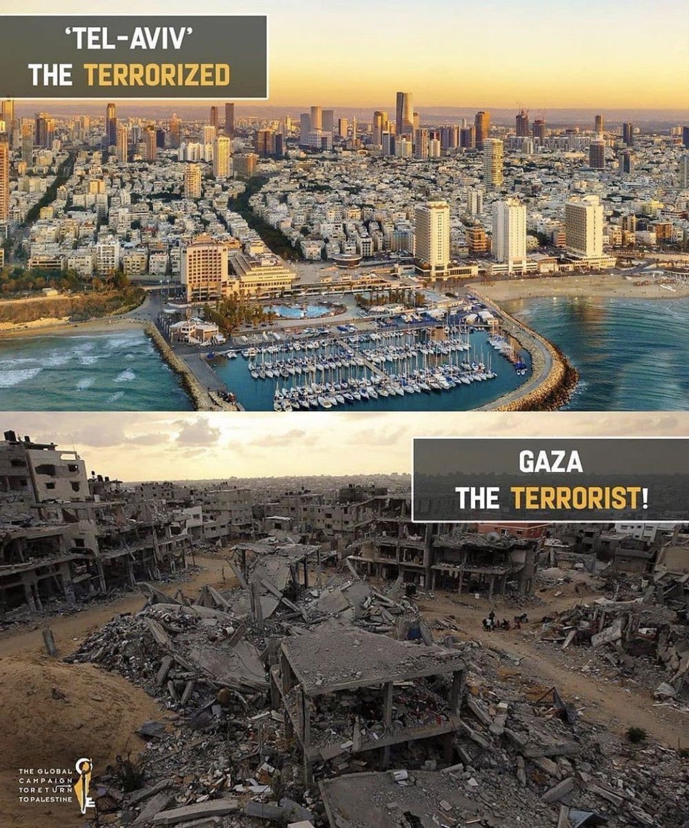 Իսրայէլ-Կազա Հակամարտութեան Վերաբերեալ Երիտասարդներու Կարծիքները