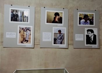 Հայրենի Կեանք