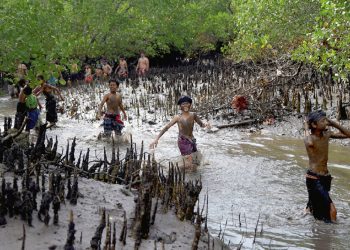 Ցեխի Լոգանք