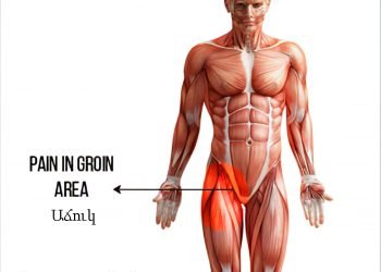 Գետ-Գիտութեան. Երիկամներու Քարերը