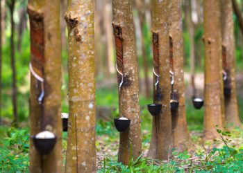 Գետ-Գիտութեան