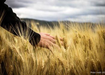 Գետ-Գիտութեան