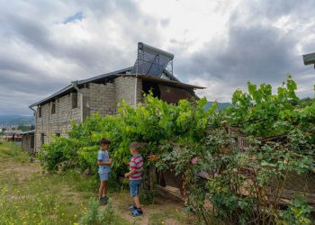 Հայրենի Կեանք