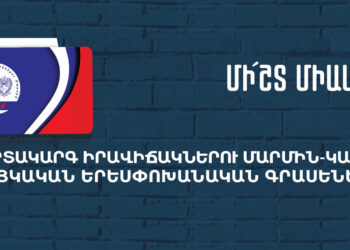 Հայկական Երեսփոխանական Գրասենեակի Ծառայութիւնները` 2022 Թուականին