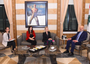 Պասսամ Մաուլաուի Միջազգային Կարմիր  Խաչի Ներկայացուցիչին Հետ Քննարկեց  Մարդասիրական Հարցեր