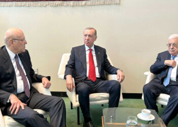 Միքաթի Հանդիպումներ Ունեցաւ Էրտողանի, Ապպասի Եւ Սուտանիի Հետ