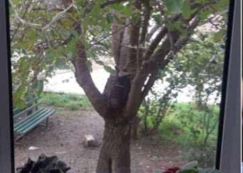 Հրաժեշտ Արցախին