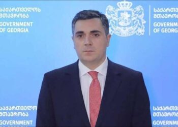 «Վրաստանը «3+3» Ձեւաչափին Չէ Մասնակցած Եւ Ապագային Ալ Պիտի Չմասնակցի»  Կ՛ըսէ Վրաստանի Արտաքին Գործոց Նախարարը