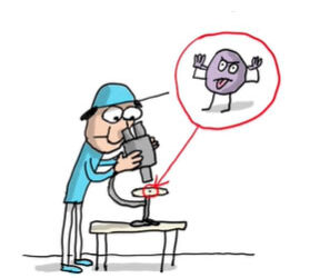 Ի՞նչ Է Ժահրը