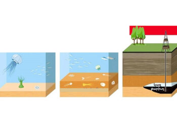 Ուրկէ՞ Կու Գայ Քարիւղը