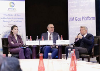 Փարիզի Մէջ.   «Պատերազմի Կասեցումը Առիթ Կու Տայ Շրջանին Մէջ  Ուժանիւթային Անվտանգութիւն Իրականացնելու  Ազդակները Բարձրացնելու»  Շեշտեց Ֆայեատ