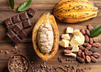 Ոսկիի Չափ Արժէքաւոր Քաքաոն