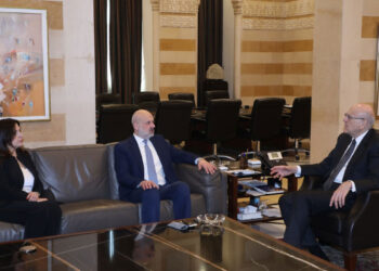 Միքաթի Մաուլաուիի Հետ Քննարկեց Ներքին Գործոց Նախարարութեան Վերաբերող Հարցեր