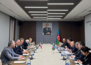 Ազրպէյճանի Եւ Վրաստանի Արտաքին  Գործոց Նախարարներուն Միջեւ Խորհրդակցութիւններ.  Քննարկուած Են Շրջանային Անվտանգութեան Հարցեր