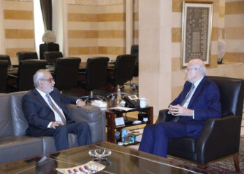 Բագրատունի Այցելեց Վարչապետի Պաշտօնակատար Միքաթիի