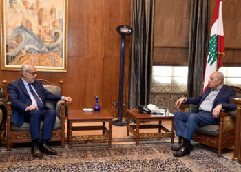 Բագրատունի Այցելեց Խորհրդարանի Նախագահ Նեպիհ Պըրրիի