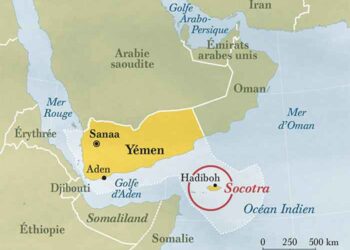 «Հովանոց Ծառեր» Սոքոթրա Կղզիին Վրայ