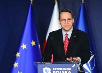 Սիքորսքի. «Փութին Պէտք Է Հասկնայ, Որ Պրեժնեւի Ուղիով Կ՛ընթանայ»