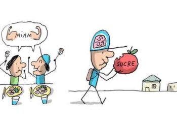 Ի՞նչ Են Շաքարին Ազդեցութիւնները Մեր Մարմնին Վրայ