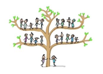 Ի՞նչ Է Տոհմածառը