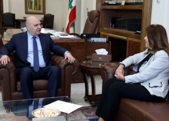 Պայրագտարեան Այցելեց Նախագահ Աունի