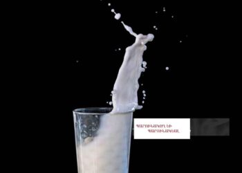Կառավարութիւն-Պետութիւն «Հանելուկ»-ը