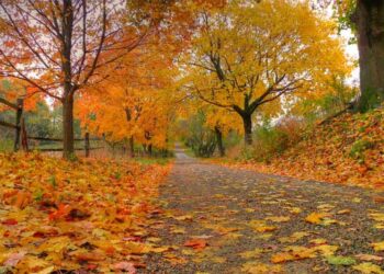 Կանուխ Աշուն Մը