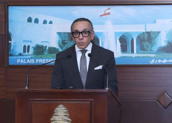Եգիպտոսի Դեսպանը Այցելեց Նախագահ Աունի
