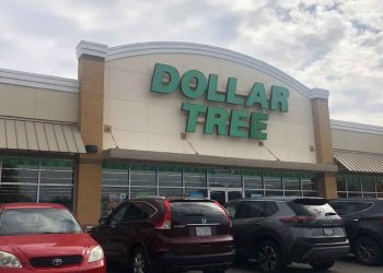 Տոլարի Անգտանելի Ծառեր