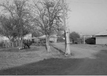 Հայաստանէն Ազրպէյճանցիներու Տեղափոխումը Եւ Վերաբնակեցումը Արցախի Մէջ