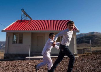 Հայրենի Կեանք