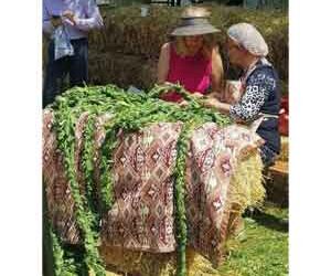 Խոտաբոյսի Մը Պատմութիւնը