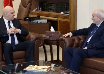 Նախագահ Աուն Ընդունեց Նախարար Մնասսան