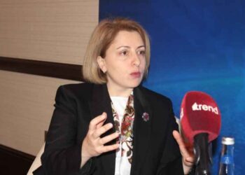 «ԹՐԻՓՓ-ը Պիտի Ամրապնդէ  Շրջանային Խաղաղութիւնը»  Կ՛ըսէ Վրաստանի Նախկին Փոխվարչապետը