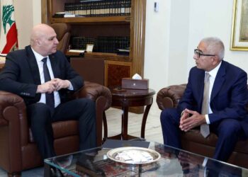 Դեսպան Բաղդասարեան Այցելեց Նախագահ Աունի
